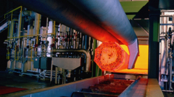 Manufacturing & Distribution