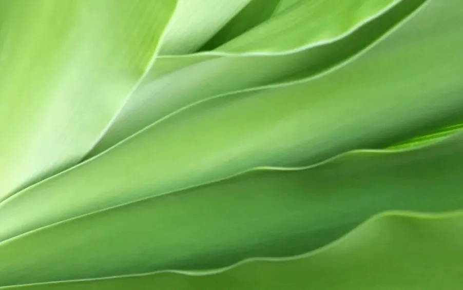 How A Technology-Ready Workforce Can Accelerate Business Transformation